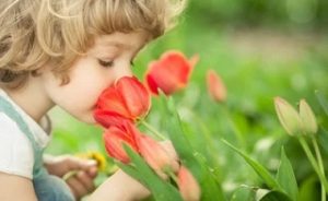 استفاده از رایحه‌ها در رژیم حسی برای اختلال اوتیسم