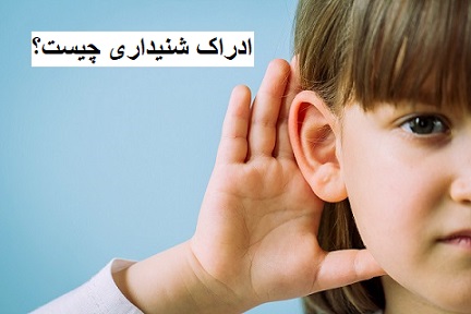 ادراک شنیداری چیست؟ بررسی علمی اجزا و اهمیت آن